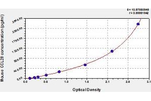 CCL28 ELISA Kit