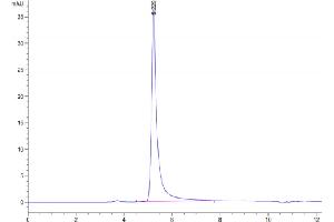 The purity of Human A2AR VLP is greater than 95 % as determined by SEC-HPLC. (Adenosine A2a Receptor Protein-VLP (ADORA2A) (AA 1-412))