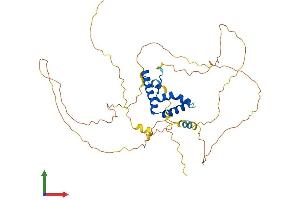 Protein Structure (PS) image for Lymphoid Enhancer-Binding Factor 1 (LEF1) (AA 1-399) protein (His tag) (ABIN7554378)