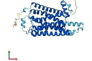 Protein Structure (PS) image for Trace Amine Associated Receptor 2 (TAAR2) (AA 1-339) protein (His tag) (ABIN7557505)