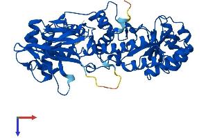 NAMPT Protein (AA 1-491) (His tag)