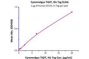 Immobilized Human CD155, Fc Tag (Cat# CD5-H5251) at 10 μg/mL (100 μl/well) can bind Cynomolgus TIGIT, Fc Tag (Cat# TIT-C5223) with a linear range of 0. (TIGIT Protein (AA 89-208) (His tag))
