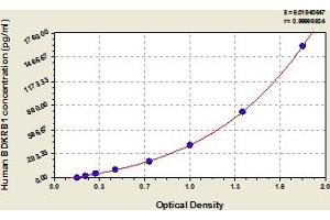 Typical Standard Curve (BDKRB1 ELISA Kit)