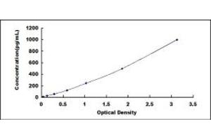 Typical standard curve (IGFBP2 ELISA Kit)