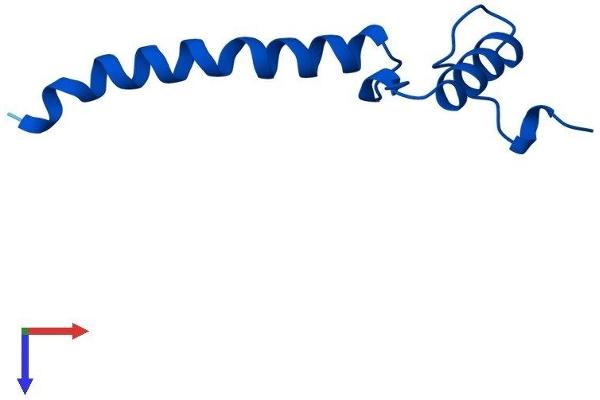 NDUFA1 Protein (AA 1-70) (Fc Tag)