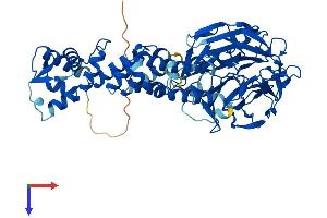 KLHL3 Protein (AA 1-587) (His tag)