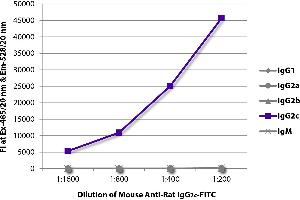 FLISA plate was coated with purified rat IgG1, IgG2a, IgG2b, IgG2c, and IgM. (Maus anti-Ratte IgG2c Antikörper (Cy5))