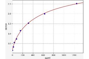 Typical standard curve (Cx40/GJA5 ELISA Kit)