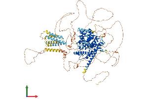 AlphaFold protein structure predicition of Human Recombinant PDE3A Protein, UniprotID Q14432