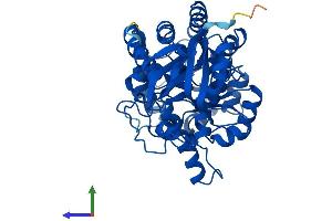 Protein Structure (PS) image for Guanine Deaminase (GDA) (AA 1-454) protein (His tag) (ABIN7548225)