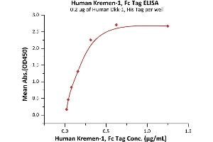 ELISA image for Kringle Containing Transmembrane Protein 1 (KREMEN1) (AA 21-392) (Active) protein (Fc Tag) (ABIN7013613)