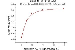Immobilized Human ICOS (C136S, C137S), His Tag (ABIN6386444,ABIN6388254) at 5 μg/mL (100 μL/well) can bind Human B7-H2, Fc Tag (ABIN6731298,ABIN6809944) with a linear range of 0.