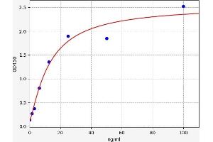 PKC delta ELISA Kit