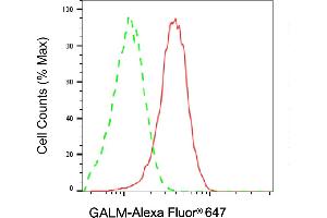 Flow cytometric analysis of GALM expression in HeLa cells using GALM antibody (ABIN7798681), 1:2,000). (GALM Antikörper)