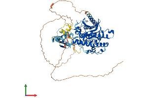 Protein Structure (PS) image for Adenosine Deaminase Domain Containing 1 (Testis-Specific) (ADAD1) (AA 1-619) protein (His tag) (ABIN7557535)