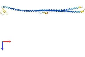 Gm136 (AA 1-328) protein (His tag)