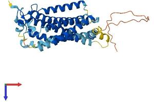 LPAR3 Protein (AA 1-354) (His tag)