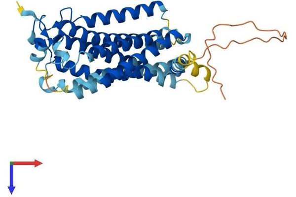 LPAR3 Protein (AA 1-354) (His tag)