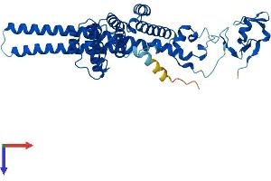 MAEA Protein (AA 1-396) (His tag)