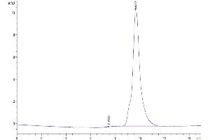 Size-exclusion chromatography-High Pressure Liquid Chromatography (SEC-HPLC) image for Plasminogen Activator, Urokinase Receptor (PLAUR) (AA 23-114) protein (His tag) (ABIN7275403)