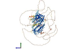 Protein Structure (PS) image for Regulatory Factor X 6 (RFX6) (AA 1-927) protein (His tag) (ABIN7564523)