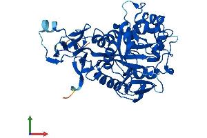 Protein Structure (PS) image for Amidohydrolase Domain Containing 2 (AMDHD2) (AA 1-409) protein (His tag) (ABIN7559408)