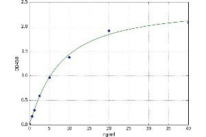 A typical standard curve (CERK ELISA Kit)