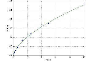 A typical standard curve (CDKN2C ELISA Kit)