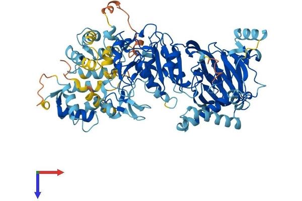 DGKA Protein (AA 1-735) (His tag)