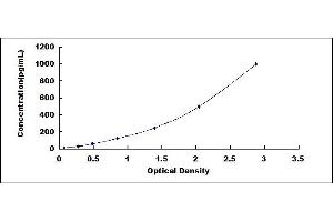 Typical standard curve (IL12B ELISA Kit)