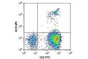 Flow Cytometry (FACS) image for anti-TCR V Alpha7.2 antibody (APC) (ABIN2658401) (TCR V Alpha7.2 Antikörper (APC))