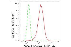 Flow cytometric analysis of Vinculin expression in HT- cells using Vinculin antibody (ABIN7800842), 1:2,000).