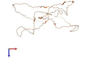 AlphaFold protein structure predicition of Human Recombinant LINC00322 Protein, UniprotID Q6ZN03
