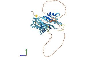 Protein Structure (PS) image for Poly(rC) Binding Protein 1 (PCBP1) (AA 1-356) protein (His tag) (ABIN7550580)