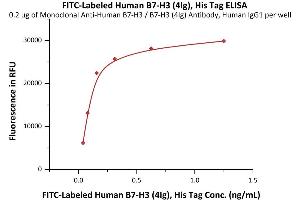 B7-H3 (4Ig) (AA 27-461) (Active) protein (His tag,FITC)