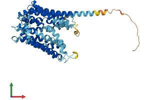 Protein Structure (PS) image for Ankylosis, Progressive Homolog (Mouse) (ANKH) (AA 1-492) protein (His tag) (ABIN7552247)