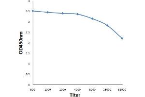 Antigen: 0. (HMGB4 Antikörper  (AA 31-130))