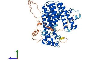 PDSS1 Protein (AA 1-415) (His tag)