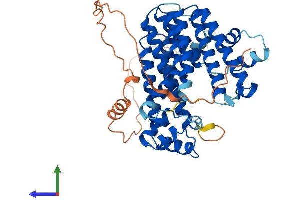 PDSS1 Protein (AA 1-415) (His tag)