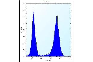 Flow Cytometry (FACS) image for anti-Speckle-Type POZ Protein-Like (SPOPL) (AA 221-249) antibody (ABIN656695)