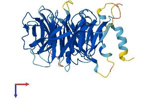 WDR73 Protein (AA 1-378) (His tag)