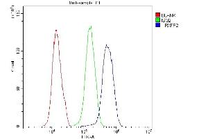 Flow Cytometry analysis of U251 cells using anti-GPCR LGR8 antibody (ABIN6719634).