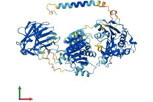 Protein Structure (PS) image for DEAD (Asp-Glu-Ala-Asp) Box Polypeptide 1 (DDX1) (AA 1-740) protein (His tag) (ABIN7553662)