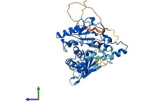 AlphaFold protein structure predicition of Mouse Recombinant Mthfsd Protein, UniprotID Q3URQ7