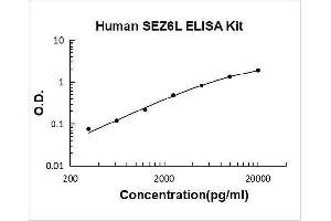Seizure Related 6 Homolog Like (SEZ6L) ELISA Kit