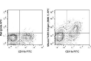 C57Bl/6 bone marrow cells were stained with FITC Anti-Mouse CD11b (ABIN6961256) and 0. (F4/80 Antikörper  (APC))