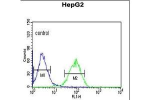 NR5A1 Antibody (N-term) (ABIN651299 and ABIN2840177) flow cytometric analysis of HepG2 cells (right histogram) compared to a negative control cell (left histogram). (NR5A1 Antikörper  (N-Term))
