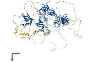 SUPT5H Protein (AA 1-1087) (His tag)