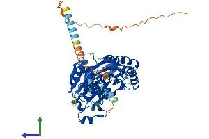 Protein Structure (PS) image for Ectonucleoside Triphosphate diphosphohydrolase 6 (ENTPD6) (AA 1-484) protein (His tag) (ABIN7553795)