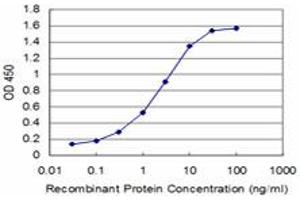 Detection limit for recombinant GST tagged BOLL is approximately 0. (BOLL Antikörper  (AA 185-283))